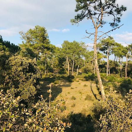 Pied A Terre A Deux Pas De La Mer, Des Commodites Saint-Jean-de-Monts Bagian luar foto